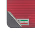 Iran Soccer Flag Google Pixel 9 Pro Fold Skin